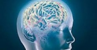 Инсульт. Последствия инсульта. Как узнать приближающийся инсульт
